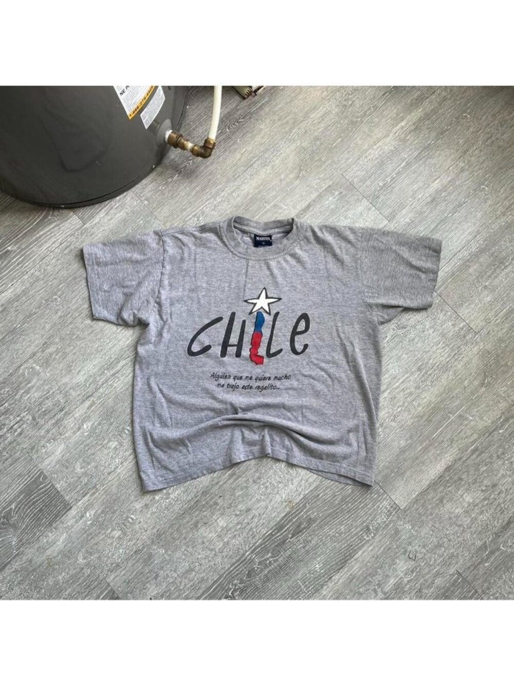 Grey / Multi Vintage “Chile” Graphic T-Shirt (Boxy / Cropped Fit)